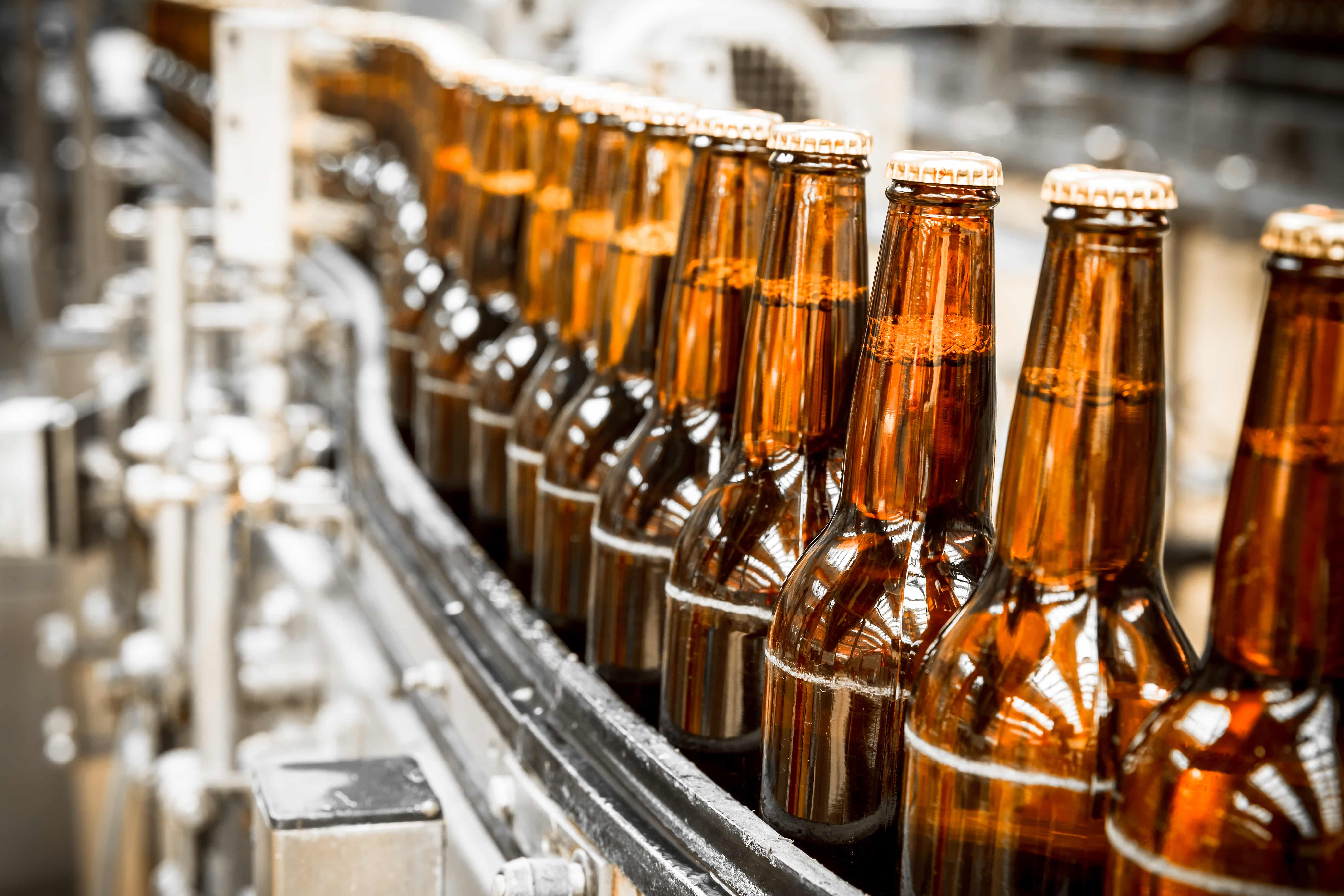beer bottles on the conveyor belt